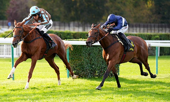 Photo d'arrivée de la course pmu PRIX BAY ARCHER à COMPIEGNE le Jeudi 2 octobre 2025