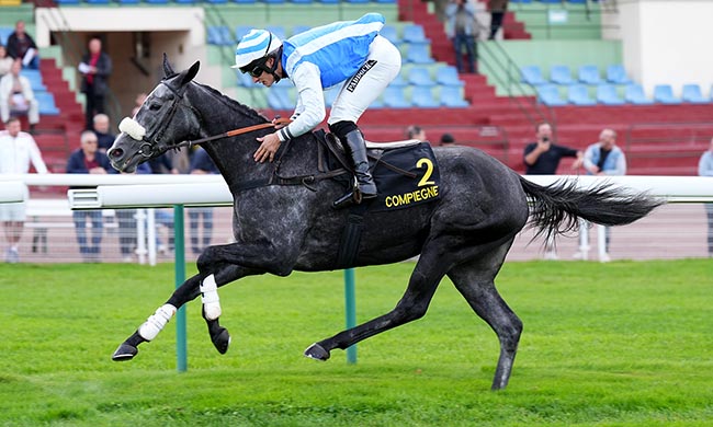 Photo d'arrivée de la course pmu PRIX NORTHERNTOWN à COMPIEGNE le Jeudi 2 octobre 2025