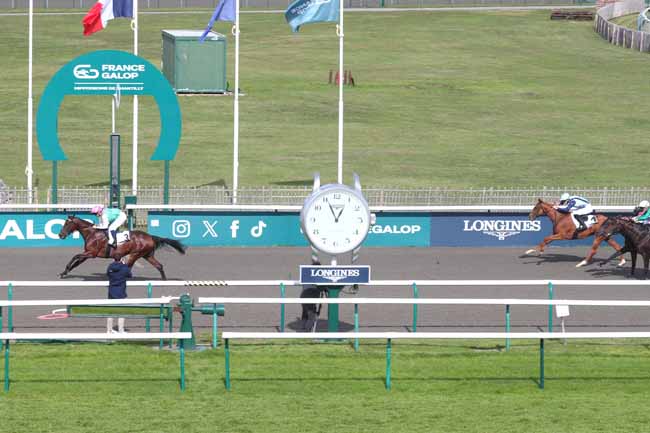 Photo d'arrivée de la course pmu PRIX DES TERROIRS DE FRANCE à CHANTILLY le Jeudi 2 octobre 2025