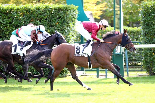 Photo d'arrivée de la course pmu PRIX DU LAVOIR DE CHAUMONT à CHANTILLY le Jeudi 2 octobre 2025