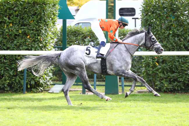 Photo d'arrivée de la course pmu PRIX DU LAVOIR DE LA CHAUSSEE à CHANTILLY le Jeudi 2 octobre 2025