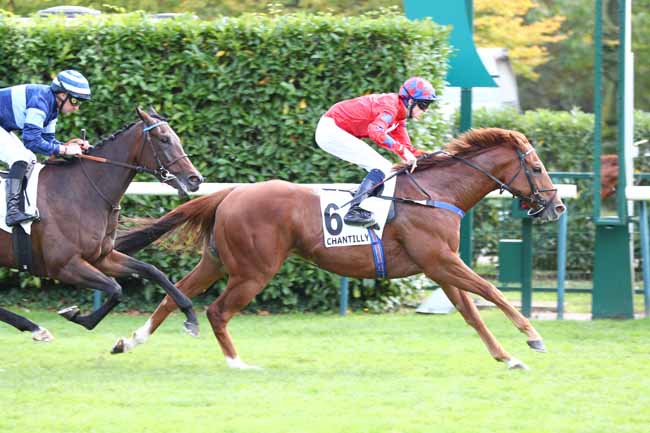 Photo d'arrivée de la course pmu PRIX DE BONNEVAL à CHANTILLY le Jeudi 2 octobre 2025