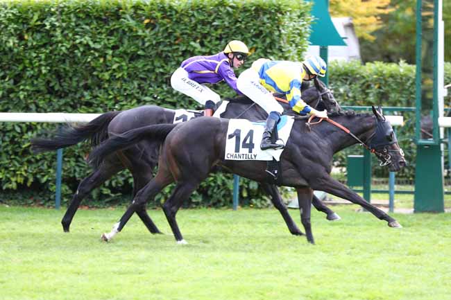 Photo d'arrivée de la course pmu PRIX DE L'HOTEL DE VERMANDOIS à CHANTILLY le Jeudi 2 octobre 2025