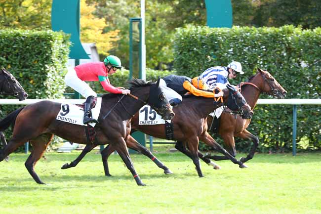 Photo d'arrivée de la course pmu PRIX DE SENLIS à CHANTILLY le Jeudi 2 octobre 2025