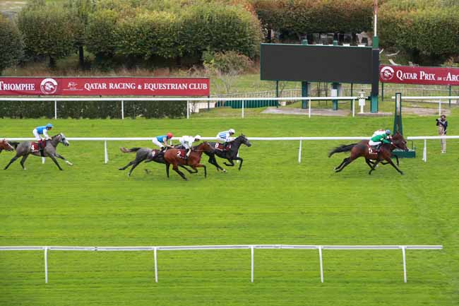 Photo d'arrivée de la course pmu QATAR ARABIAN TROPHY DES POULAINS à SAINT CLOUD le Vendredi 3 octobre 2025