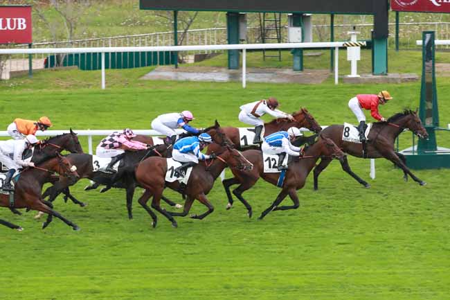 Photo d'arrivée de la course pmu PRIX CORONATION à SAINT CLOUD le Vendredi 3 octobre 2025