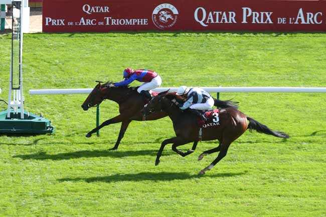 Photo d'arrivée de la course pmu QATAR PRIX CHAUDENAY à LONGCHAMP le Samedi 4 octobre 2025