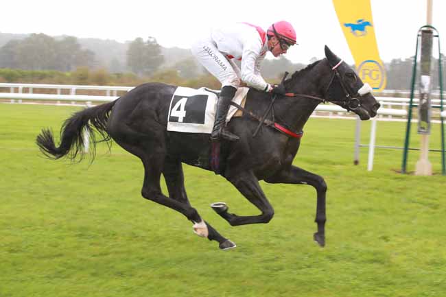 Photo d'arrivée de la course pmu PRIX ANDRE PAROT à FONTAINEBLEAU le Samedi 4 octobre 2025