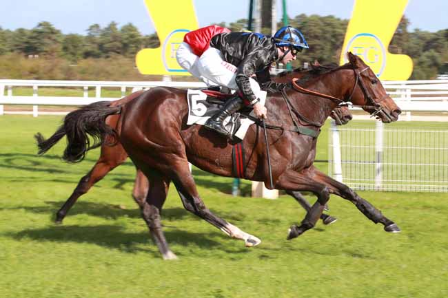 Photo d'arrivée de la course pmu PRIX DE LA TABLE DU ROI à FONTAINEBLEAU le Samedi 4 octobre 2025
