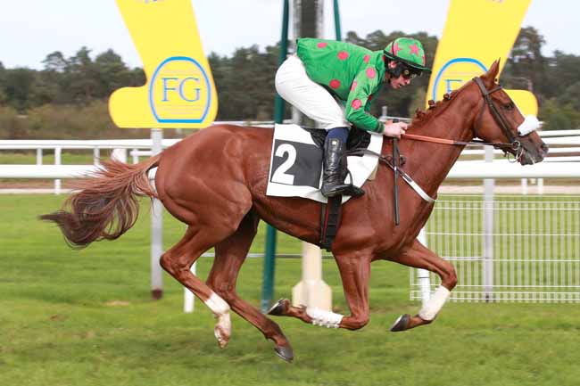 Photo d'arrivée de la course pmu STEEPLE-CHASE DU DEBUT (PRIX DE L'ASSOCIATION DES AMIS DU MUSEE DU CHEVAL MILITAIRE) à FONTAINEBLEAU le Samedi 4 octobre 2025