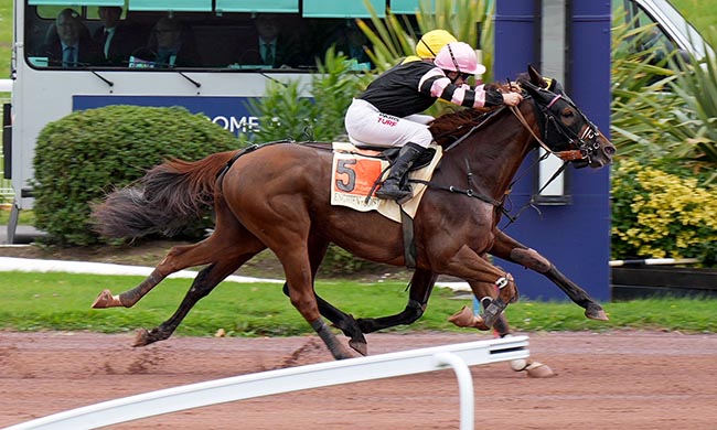 Photo d'arrivée de la course pmu PRIX DE LA PLACE DU PETIT PONT à ENGHIEN le Lundi 6 octobre 2025