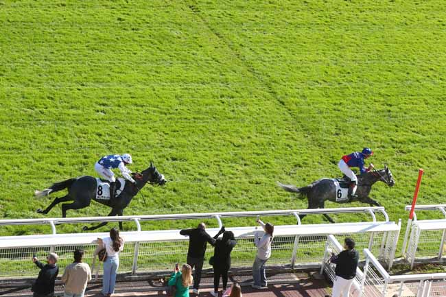 Arrivée quinté pmu PRIX GUILLAUME DE PRACOMTAL à AUTEUIL