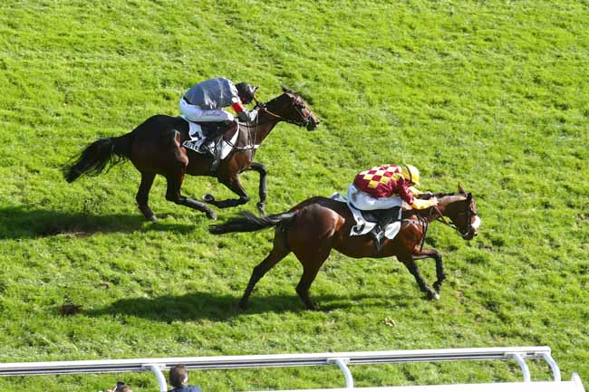 Photo d'arrivée de la course pmu PRIX DE NANTES à AUTEUIL le Mardi 7 octobre 2025