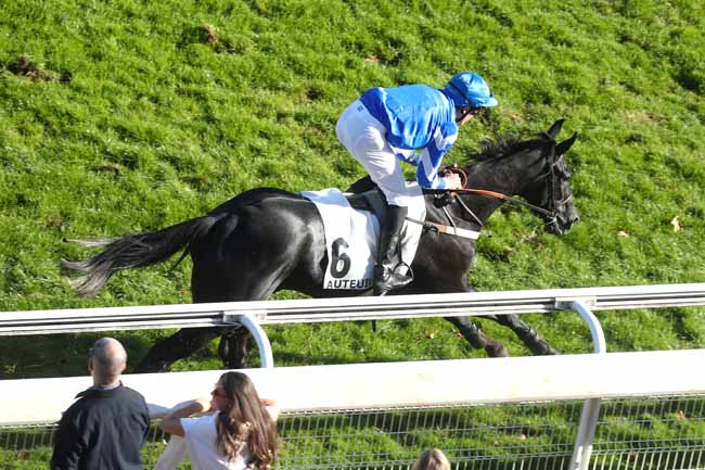 Photo d'arrivée de la course pmu PRIX PIOMARES - GUY NEGREL à AUTEUIL le Mardi 7 octobre 2025