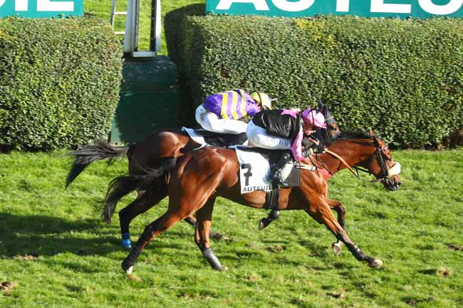 Photo d'arrivée de la course pmu PRIX PIERRE ET JEAN-MARIE MERCIER à AUTEUIL le Mardi 7 octobre 2025