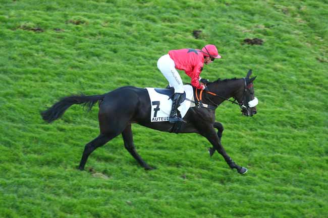 Photo d'arrivée de la course pmu PRIX HIPPARQUE à AUTEUIL le Mardi 7 octobre 2025