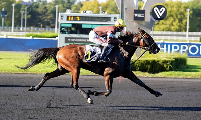 Photo d'arrivée de la course pmu PRIX ANTIOPE à PARIS-VINCENNES le Mardi 7 octobre 2025