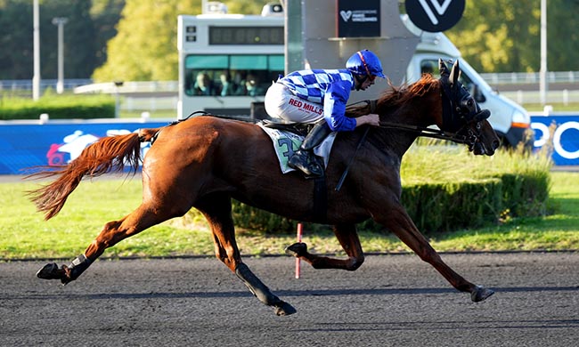 Photo d'arrivée de la course pmu PRIX NYSA à PARIS-VINCENNES le Mardi 7 octobre 2025