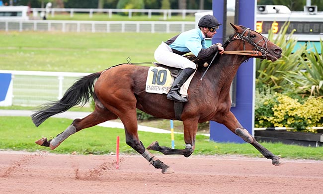 Photo d'arrivée de la course pmu PRIX DE LA PLACE DU CANADA à ENGHIEN le Jeudi 9 octobre 2025