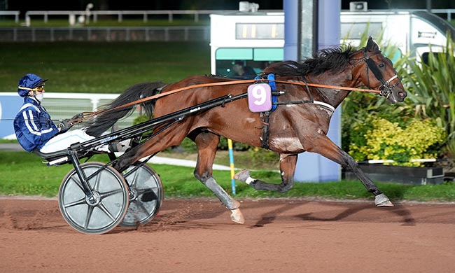 Photo d'arrivée de la course pmu PRIX DE MAURON à ENGHIEN le Jeudi 9 octobre 2025
