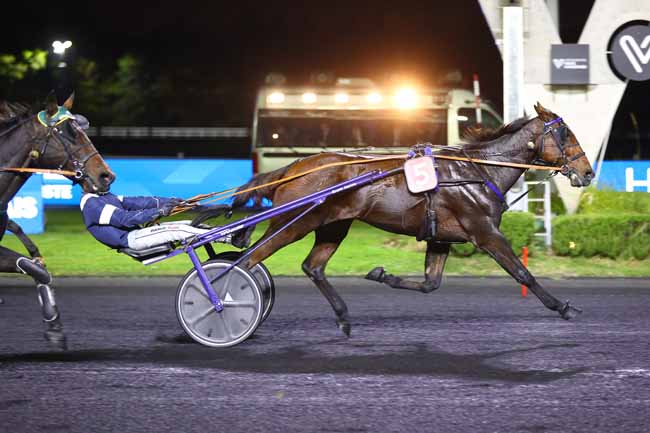 Photo d'arrivée de la course pmu PRIX THERESIA à PARIS-VINCENNES le Vendredi 10 octobre 2025