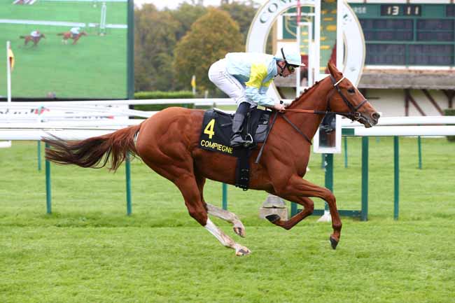 Photo d'arrivée de la course pmu PRIX DE LONGUEIL-ANNEL à COMPIEGNE le Vendredi 10 octobre 2025