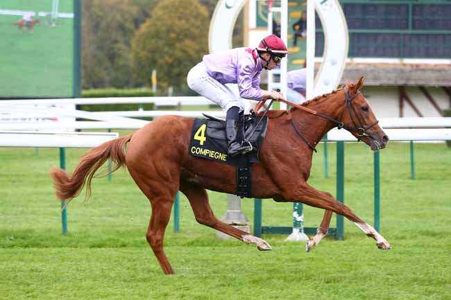 Photo d'arrivée de la course pmu PRIX DE VENETTE à COMPIEGNE le Vendredi 10 octobre 2025