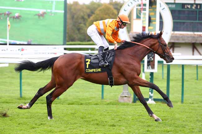 Photo d'arrivée de la course pmu PRIX DE JAUX à COMPIEGNE le Vendredi 10 octobre 2025
