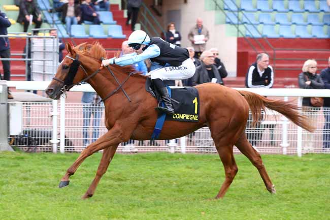 Photo d'arrivée de la course pmu PRIX DE JONQUIERES à COMPIEGNE le Vendredi 10 octobre 2025