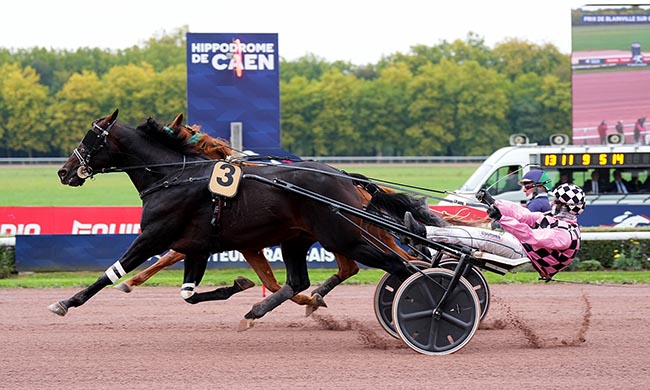 Photo d'arrivée de la course pmu PRIX DE BLAINVILLE-SUR-ORNE à CAEN le Samedi 11 octobre 2025