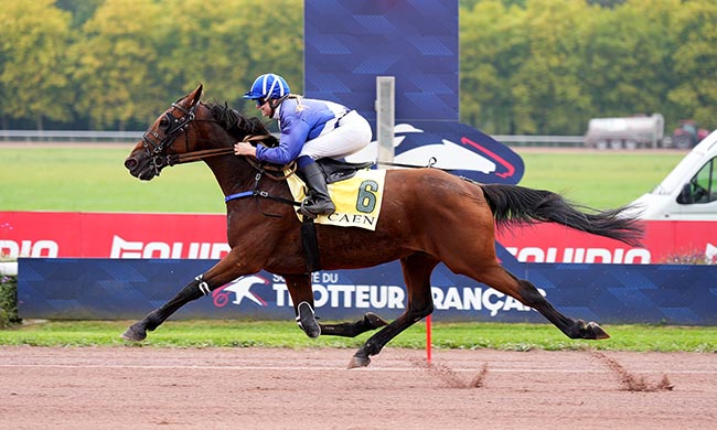 Photo d'arrivée de la course pmu PRIX DE COQUAINVILLIERS à CAEN le Samedi 11 octobre 2025