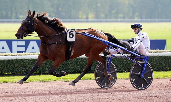 Photo d'arrivée de la course pmu PRIX D'AIREL à CAEN le Samedi 11 octobre 2025