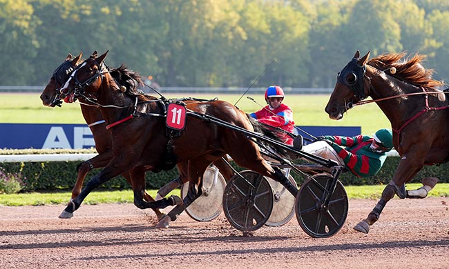Photo d'arrivée de la course pmu PRIX DU MILLENAIRE CAEN 2025 (PRIX DE CREULLY) à CAEN le Samedi 11 octobre 2025