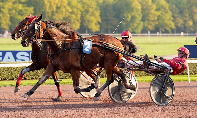 Photo d'arrivée de la course pmu PRIX DE LOUCELLES à CAEN le Samedi 11 octobre 2025