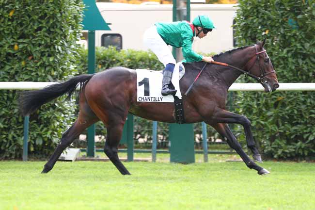 Photo d'arrivée de la course pmu CRITERIUM DE MAISONS-LAFFITTE à CHANTILLY le Samedi 11 octobre 2025