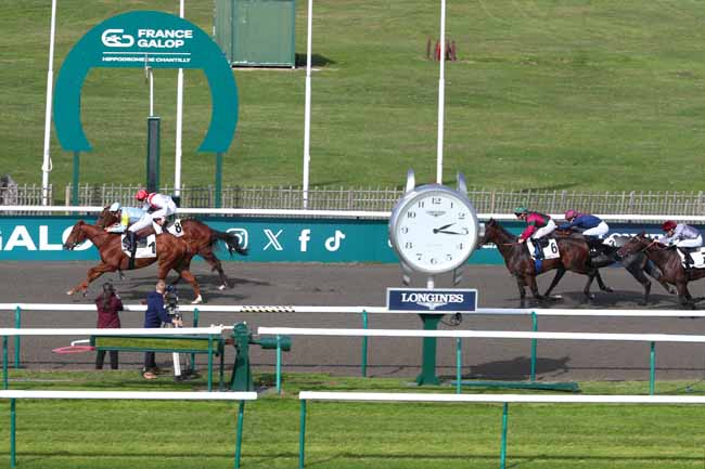 Photo d'arrivée de la course pmu PRIX D'INDROLLES à CHANTILLY le Samedi 11 octobre 2025