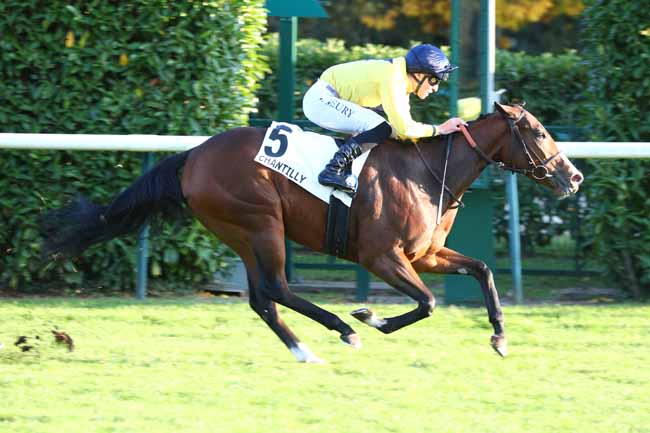 Photo d'arrivée de la course pmu PRIX DE L'ABBAYE DE CHALIS à CHANTILLY le Samedi 11 octobre 2025