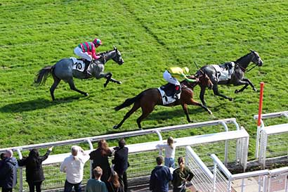 Photo d'arrivée de la course pmu PRIX BEAUREPAIRE à AUTEUIL le Dimanche 12 octobre 2025