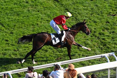 Photo d'arrivée de la course pmu PRIX GEORGES DE TALHOUET-ROY à AUTEUIL le Dimanche 12 octobre 2025