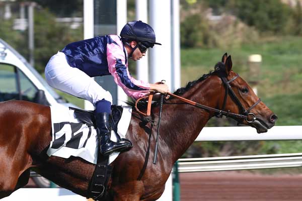 Photo d'arrivée de la course pmu PRIX DE L'ESTACADE à MARSEILLE BORELY le Lundi 13 octobre 2025