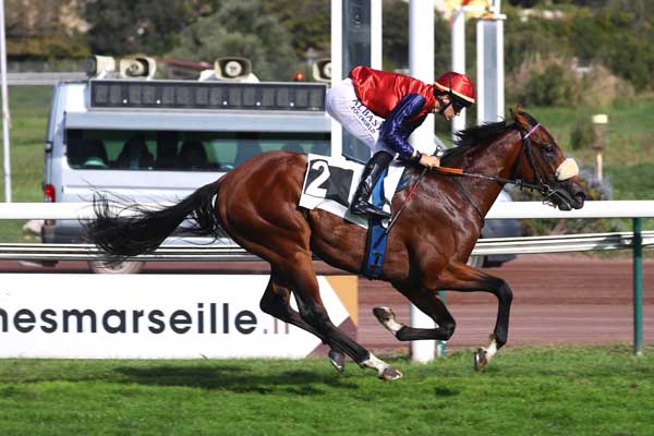 Photo d'arrivée de la course pmu PRIX CLINTON à MARSEILLE BORELY le Lundi 13 octobre 2025
