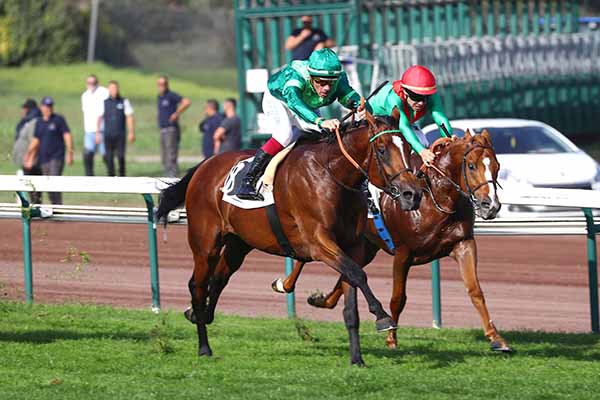 Photo d'arrivée de la course pmu PRIX VIA MILANO à MARSEILLE BORELY le Lundi 13 octobre 2025