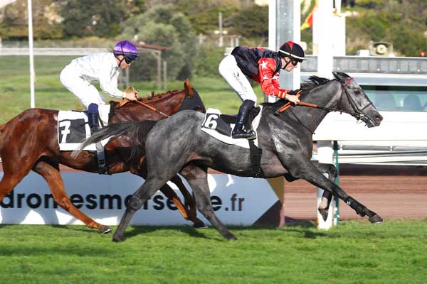 Photo d'arrivée de la course pmu PRIX GERARD SAMOUN à MARSEILLE BORELY le Lundi 13 octobre 2025