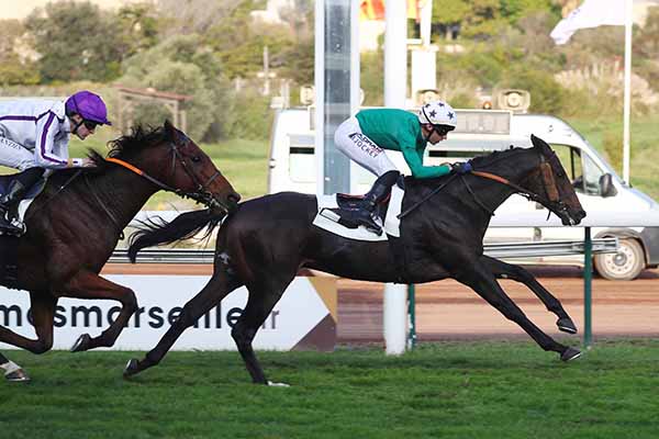 Photo d'arrivée de la course pmu PRIX LOUIS ESPANET à MARSEILLE BORELY le Lundi 13 octobre 2025