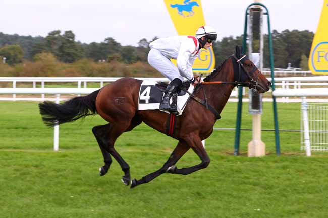 Photo d'arrivée de la course pmu PRIX PIERRE DEBROISE à FONTAINEBLEAU le Lundi 13 octobre 2025