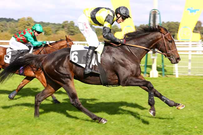 Photo d'arrivée de la course pmu PRIX BARON GEOFFROY DE WALDNER à FONTAINEBLEAU le Lundi 13 octobre 2025