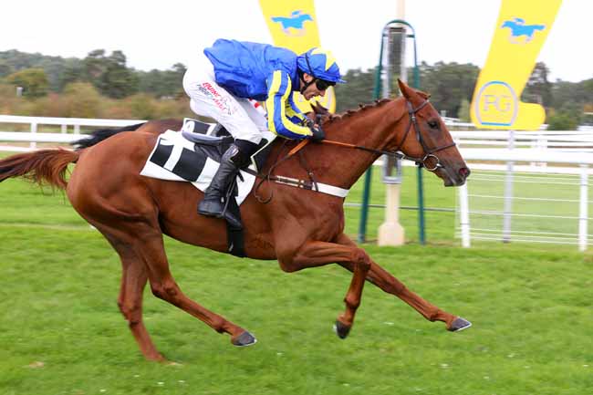 Photo d'arrivée de la course pmu PRIX HENRY MAZE-SENCIER à FONTAINEBLEAU le Lundi 13 octobre 2025