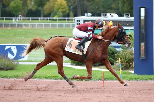 Photo d'arrivée de la course pmu PRIX DU PONT NEUF à ENGHIEN le Lundi 13 octobre 2025