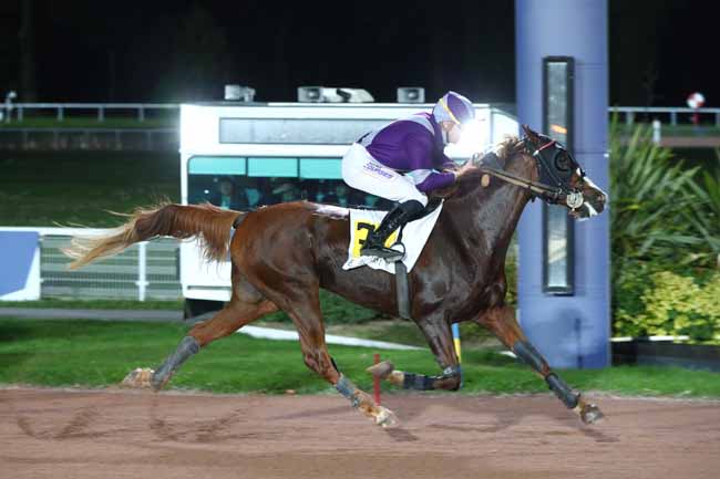 Photo d'arrivée de la course pmu PRIX DE JONQUIERES à ENGHIEN le Lundi 13 octobre 2025