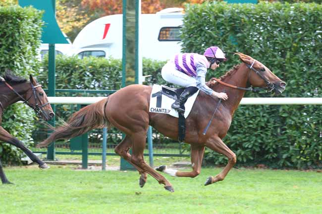 Photo d'arrivée de la course pmu PRIX DES TROIS GRACES à CHANTILLY le Mardi 14 octobre 2025